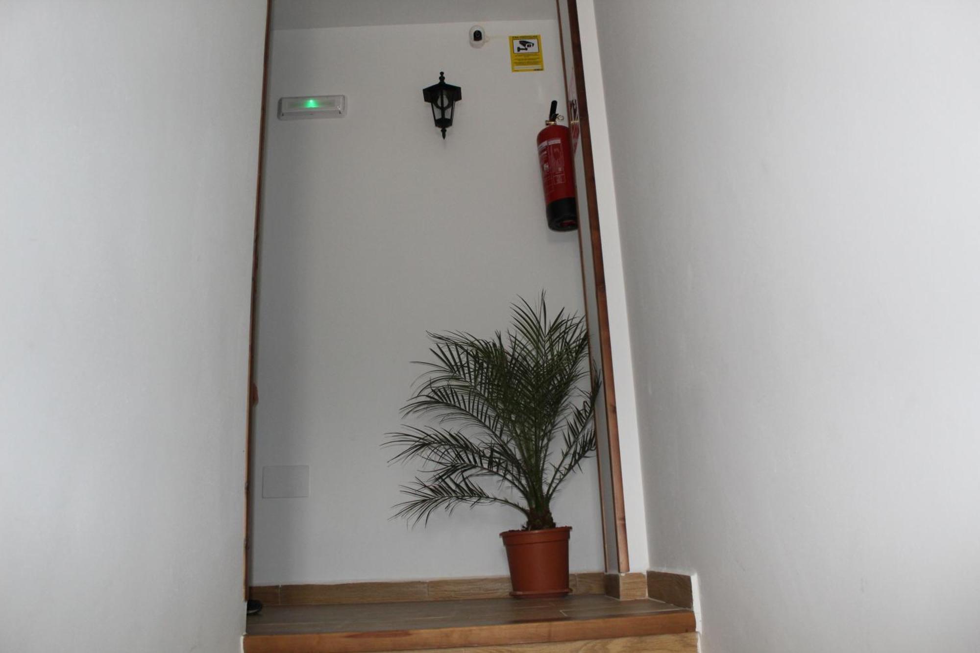Apartamento Ninfa De La Sierra Riópar Exterior foto
